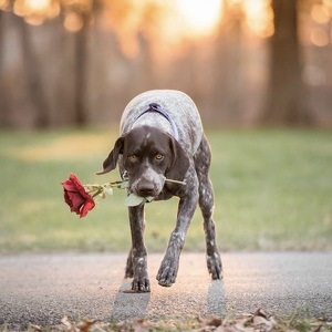 Fundraising Page: Sarah Kelly